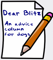 Dear Blitz